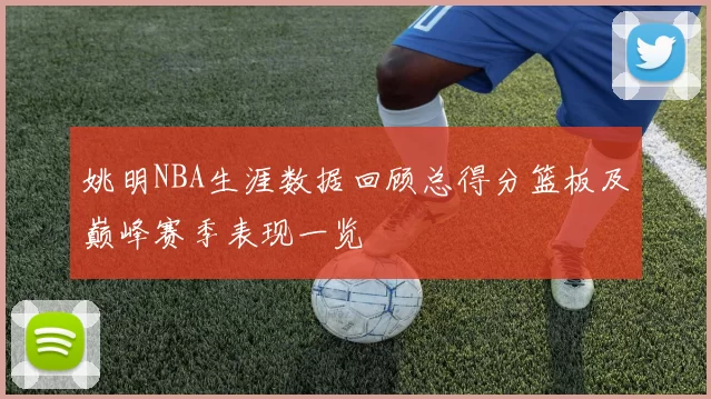 姚明NBA生涯数据回顾总得分篮板及巅峰赛季表现一览