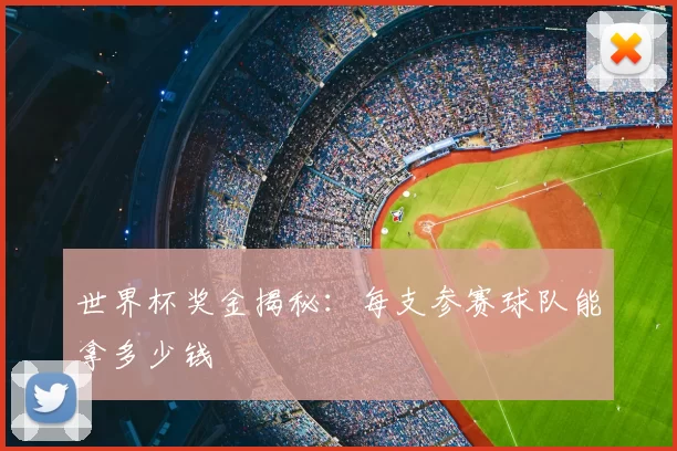 世界杯奖金揭秘:每支参赛球队能拿多少钱