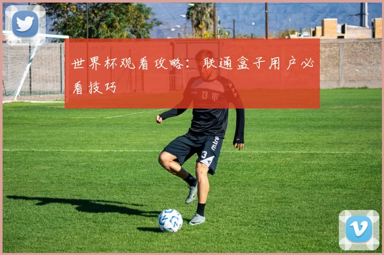 世界杯观看攻略:联通盒子用户必看技巧