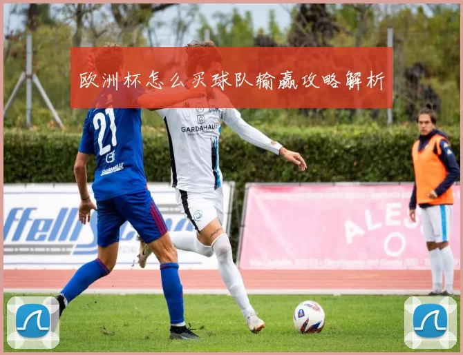 欧洲杯怎么买球队输赢攻略解析