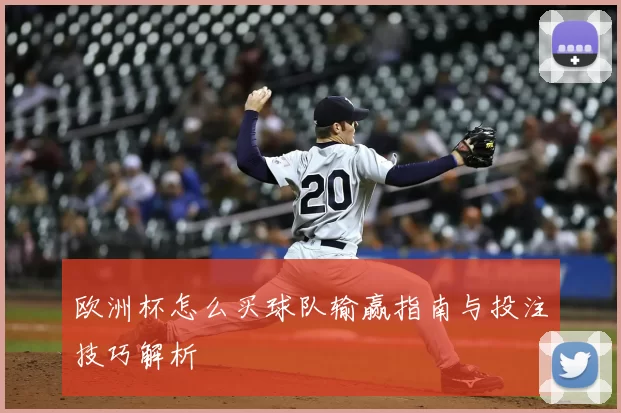 欧洲杯怎么买球队输赢指南与投注技巧解析