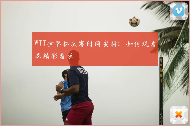 WTT世界杯决赛时间安排：如何观看及精彩看点