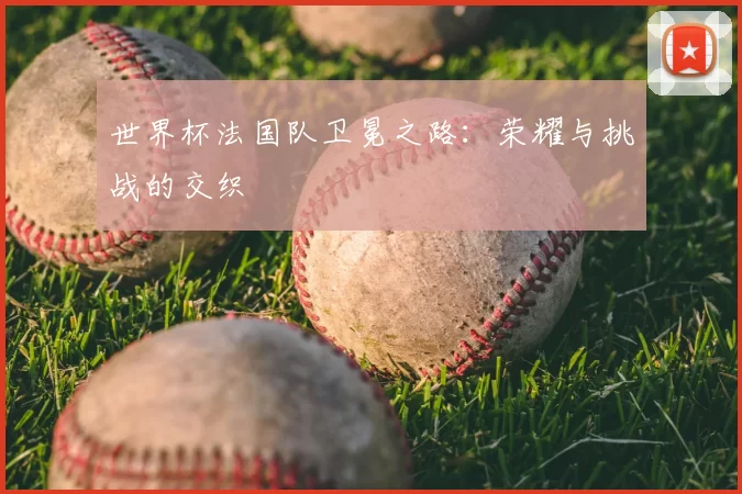 世界杯法国队卫冕之路:荣耀与挑战的交织