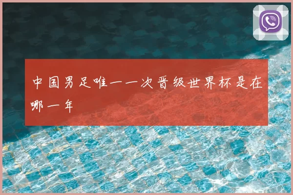 中国男足唯一一次晋级世界杯是在哪一年