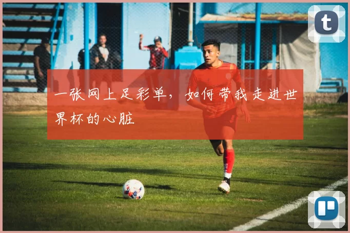 一张网上足彩单,如何带我走进世界杯的心脏