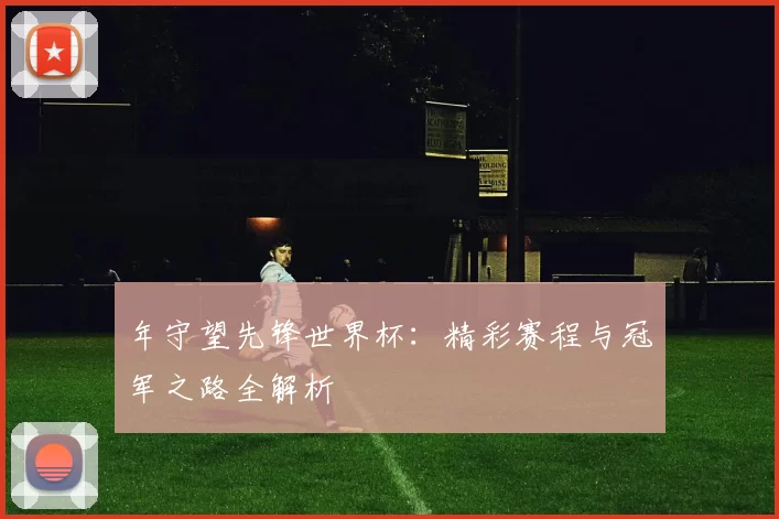 年守望先锋世界杯：精彩赛程与冠军之路全解析