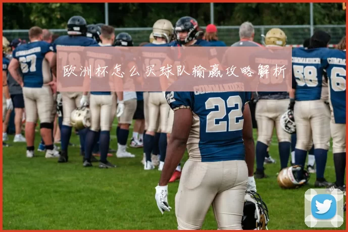 欧洲杯怎么买球队输赢攻略解析