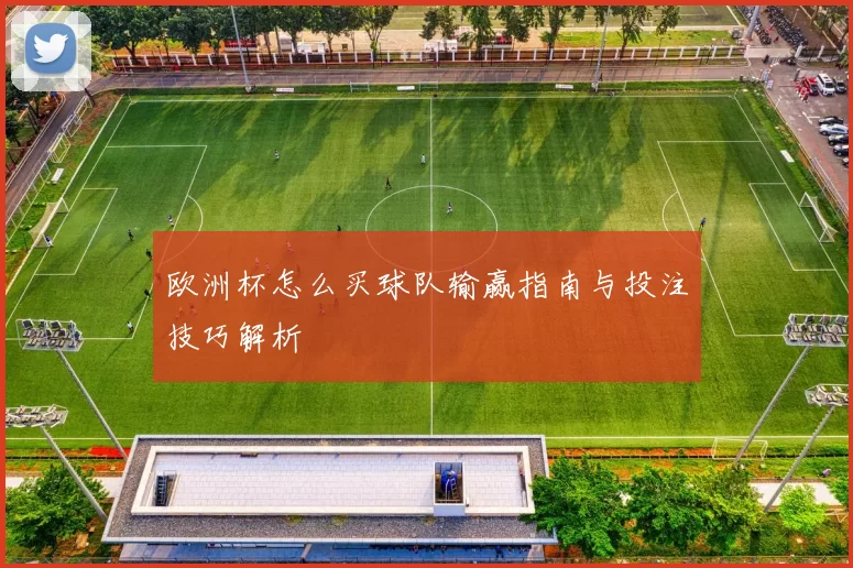 欧洲杯怎么买球队输赢指南与投注技巧解析