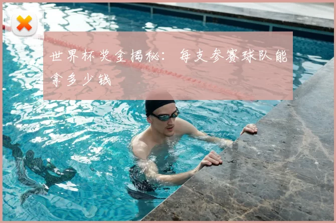 世界杯奖金揭秘:每支参赛球队能拿多少钱