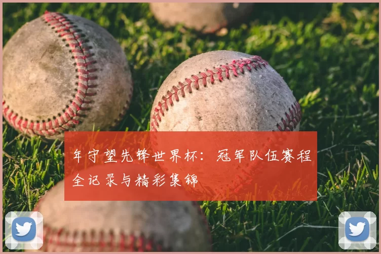 年守望先锋世界杯:冠军队伍赛程全记录与精彩集锦