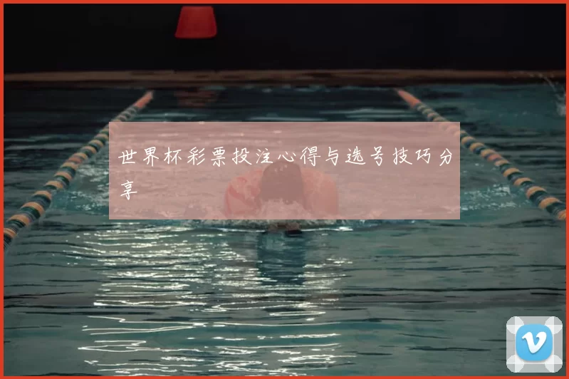 世界杯彩票投注心得与选号技巧分享