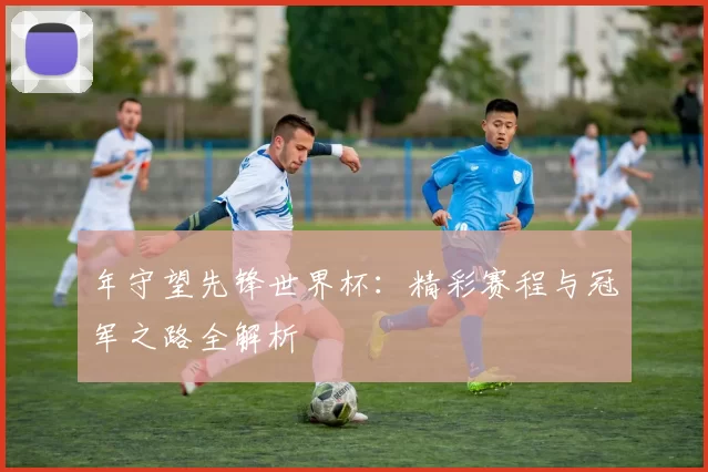 年守望先锋世界杯：精彩赛程与冠军之路全解析