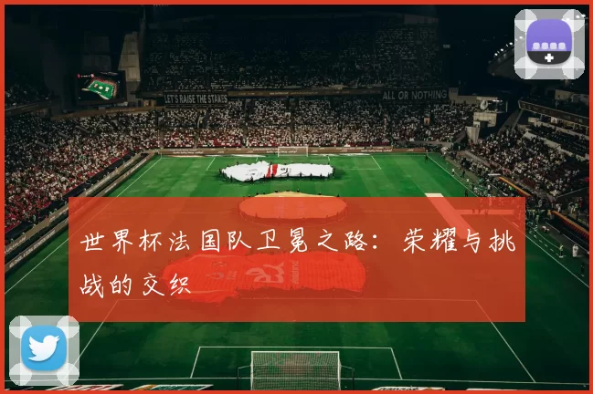 世界杯法国队卫冕之路:荣耀与挑战的交织