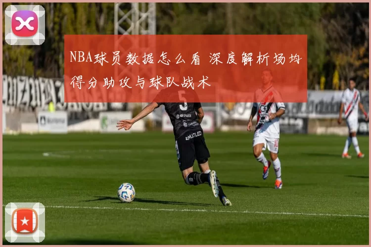 NBA球员数据怎么看 深度解析场均得分助攻与球队战术